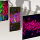 New neuron growth in the hippocampus, highlighted in green, fades away by the time we reach our teens, a new Nature study finds. Above are samples taken from a newborn, a 13-year-old, and a 35-year-old, respectively.
